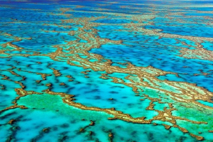 Japanese tourist dies at Australia`s Great Barrier Reef